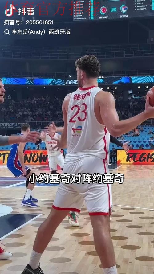 约基奇背打连续上对抗,申京冲动上手犯规被打2+1 约基奇背打连续上对抗,申京冲动上手犯规被打2+1